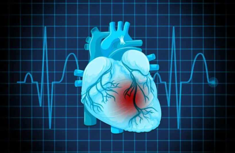 Comprendre les maladies cardiaques